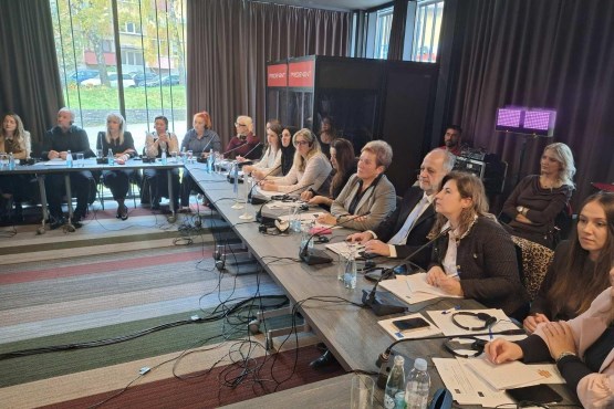 Delegatkinja u Domu naroda PSBiH Marina Pendeš učestvovala na Konferenciji o rodno osjetljivom nadzoru sektora sigurnosti u BiH